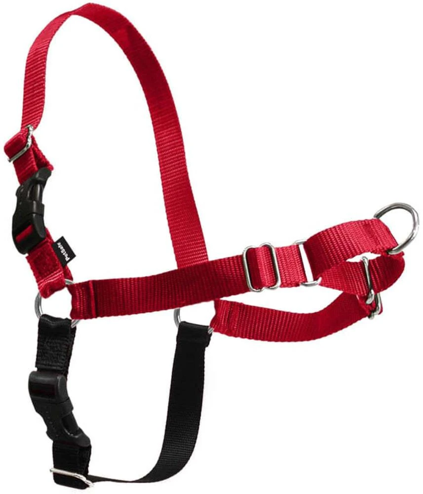 PetSafe Easy Walk dirželių ir pavadėlio komplektas – raudonas, XL, reguliuojamas, patogus dizainas