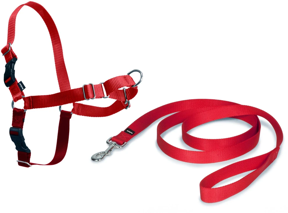 PetSafe Easy Walk dirželių ir pavadėlio komplektas – raudonas, XL, reguliuojamas, patogus dizainas