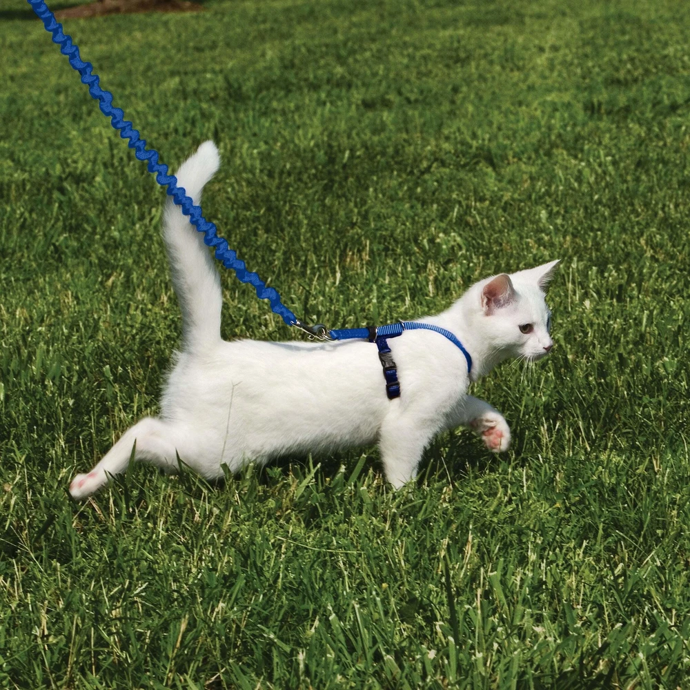 PetSafe Easy Walk katės diržas – Karališkai mėlynas bungee diržas ir pavadėlis, mažas dydis