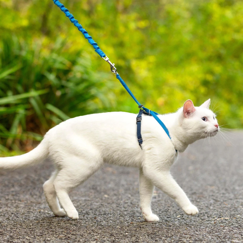 PetSafe Easy Walk katės diržas – Karališkai mėlynas bungee diržas ir pavadėlis, mažas dydis
