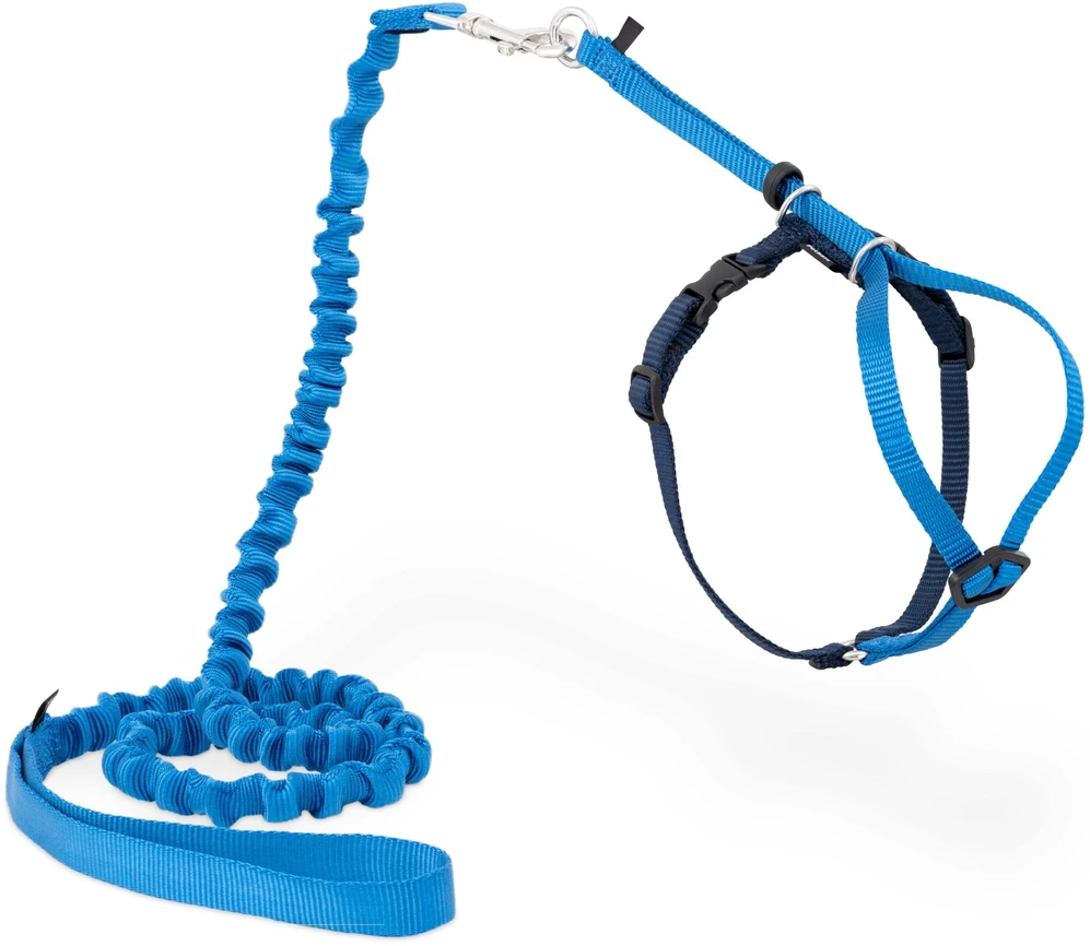 PetSafe Easy Walk katės diržas – Karališkai mėlynas bungee diržas ir pavadėlis, mažas dydis