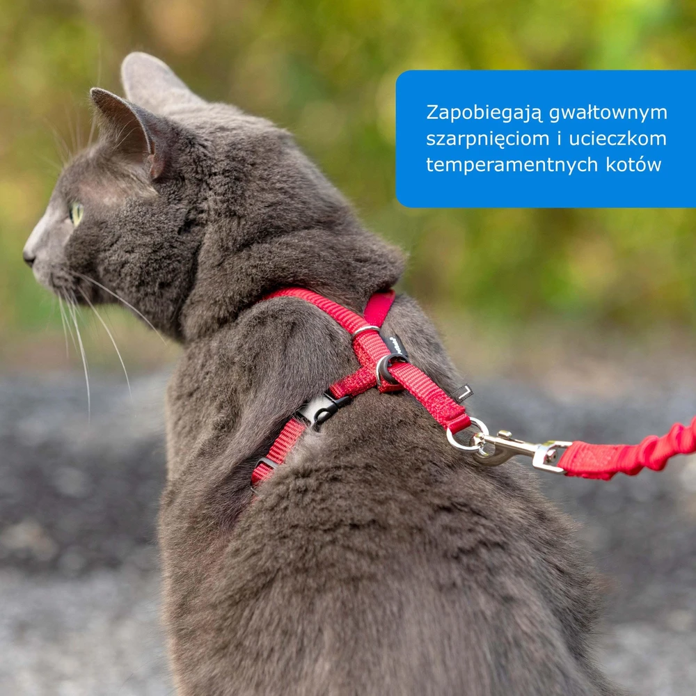PetSafe Easy Walk katės diržas – Karališkai mėlynas bungee diržas ir pavadėlis, mažas dydis