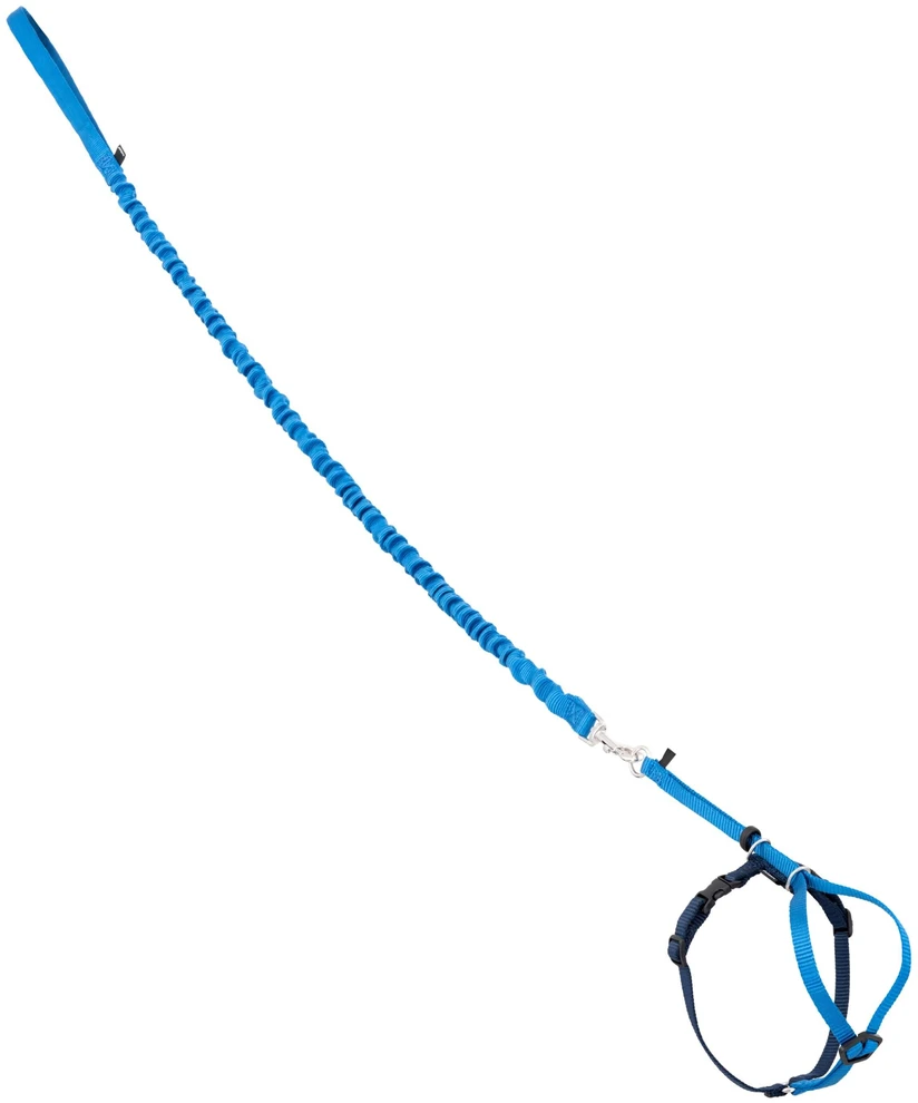 PetSafe Easy Walk katės diržas – Karališkai mėlynas bungee diržas ir pavadėlis, mažas dydis