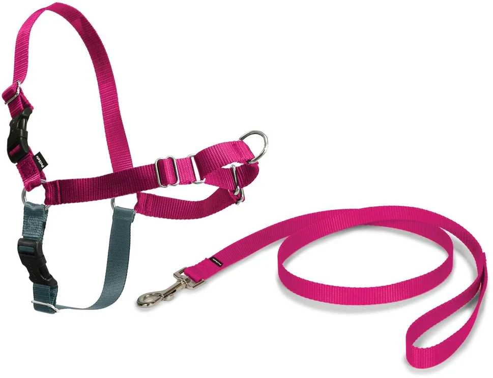 PetSafe Easy Walk pavadėlio ir antkaklio rinkinys – avietiškai rožinis, didelis, patogus dizainas be traukimo