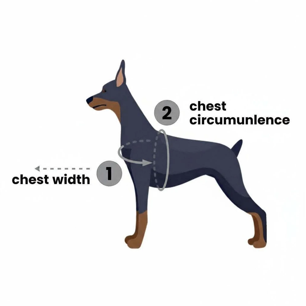 PetSafe Easy Walk pavadėlio ir antkaklio rinkinys – avietiškai rožinis, didelis, patogus dizainas be traukimo