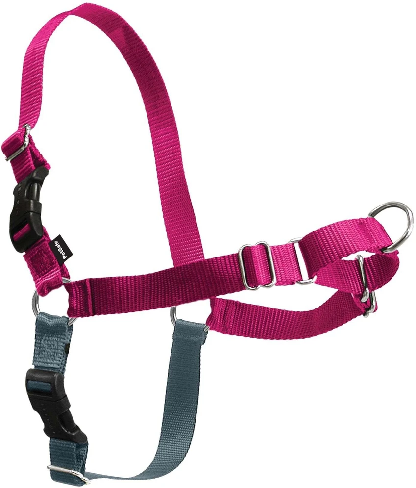 PetSafe Easy Walk pavadėlio ir antkaklio rinkinys – avietiškai rožinis, didelis, patogus dizainas be traukimo