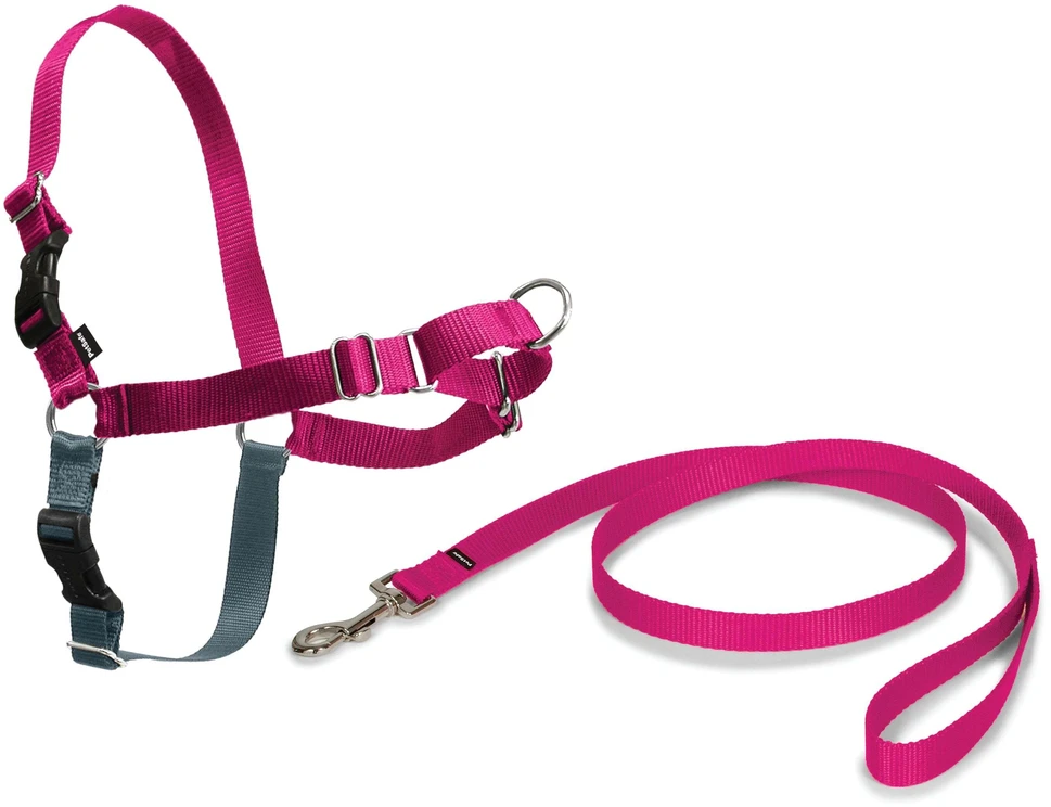 PetSafe Easy Walk pavadėlio ir antkaklio rinkinys – avietiškai rožinis, didelis, patogus dizainas be traukimo