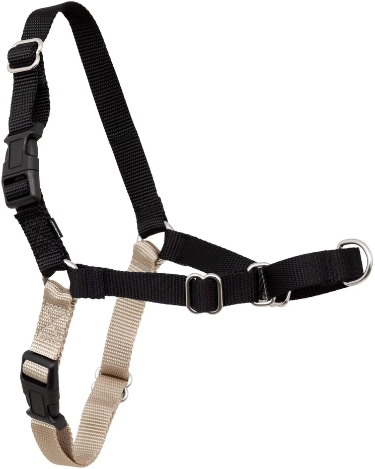 PetSafe Easy Walk pavadėlio ir diržų rinkinys – reguliuojamas juodas, mažas, patogus prigludimas