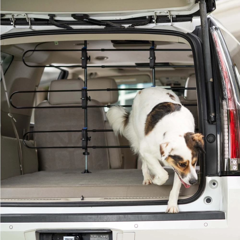 PetSafe Happy Ride Metal Dog Barrier – Reguliuojamas automobilio grotelių atskyrimas, patvari plieno konstrukcija