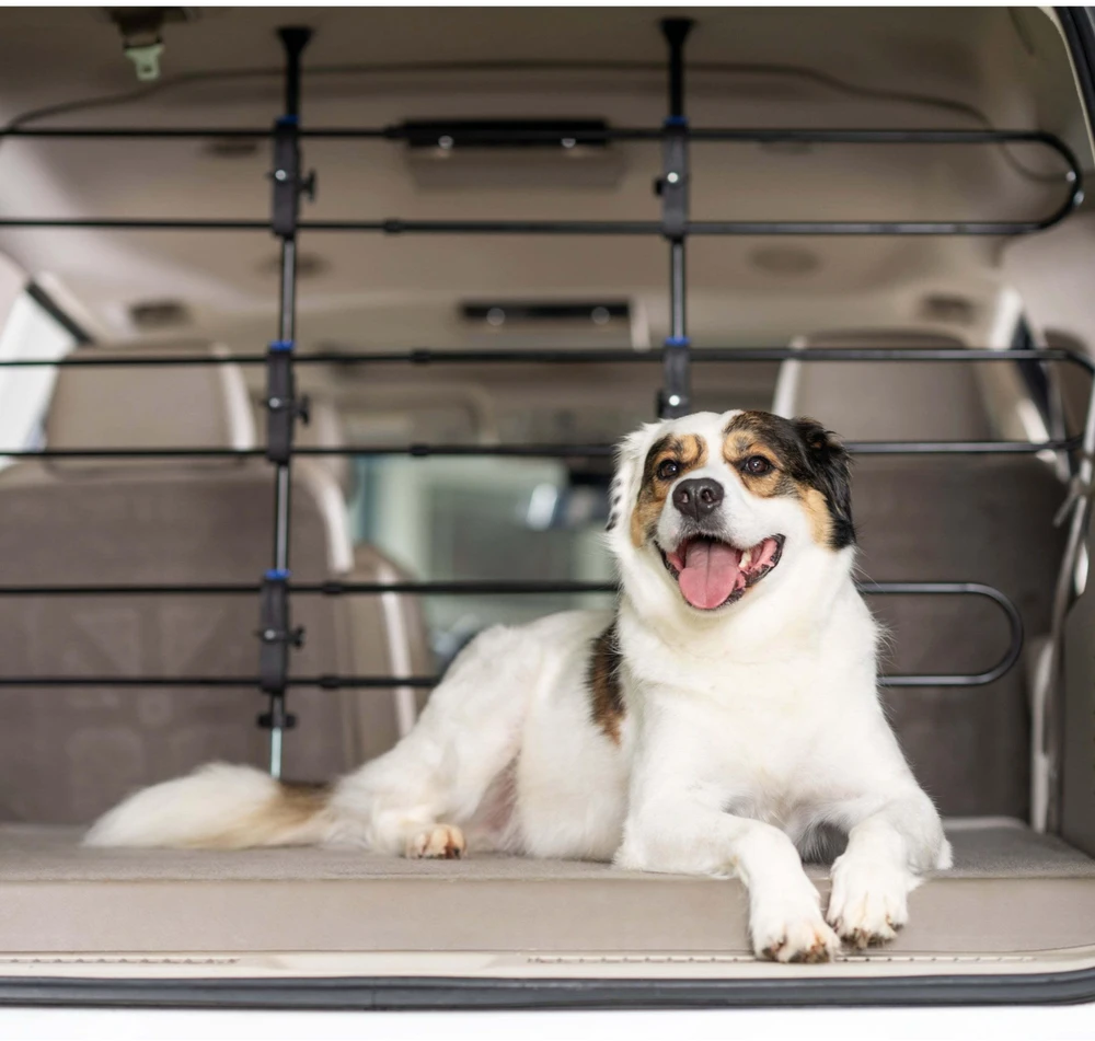 PetSafe Happy Ride Metal Dog Barrier – Reguliuojamas automobilio grotelių atskyrimas, patvari plieno konstrukcija