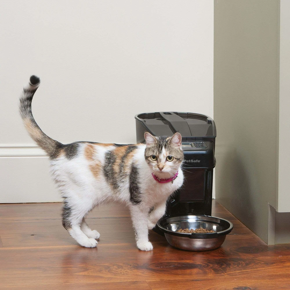 PetSafe Healthy Simply Feed programuojama skaitmeninė automatinė šėrykla šunims ir katėms