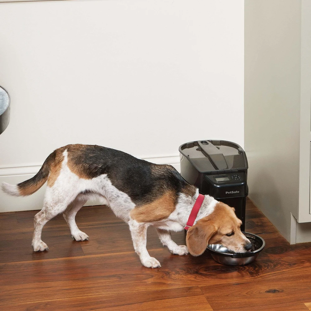 PetSafe Healthy Simply Feed programuojama skaitmeninė automatinė šėrykla šunims ir katėms