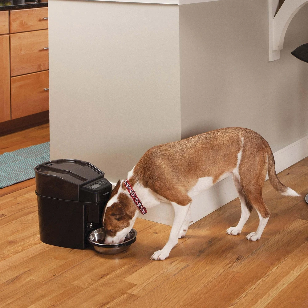 PetSafe Healthy Simply Feed programuojama skaitmeninė automatinė šėrykla šunims ir katėms