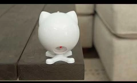 PetSafe Dancing Dot - automatinis lazerinis žaislas katėms