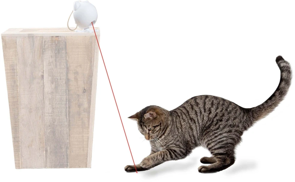 PetSafe Dancing Dot - automatinis lazerinis žaislas katėms
