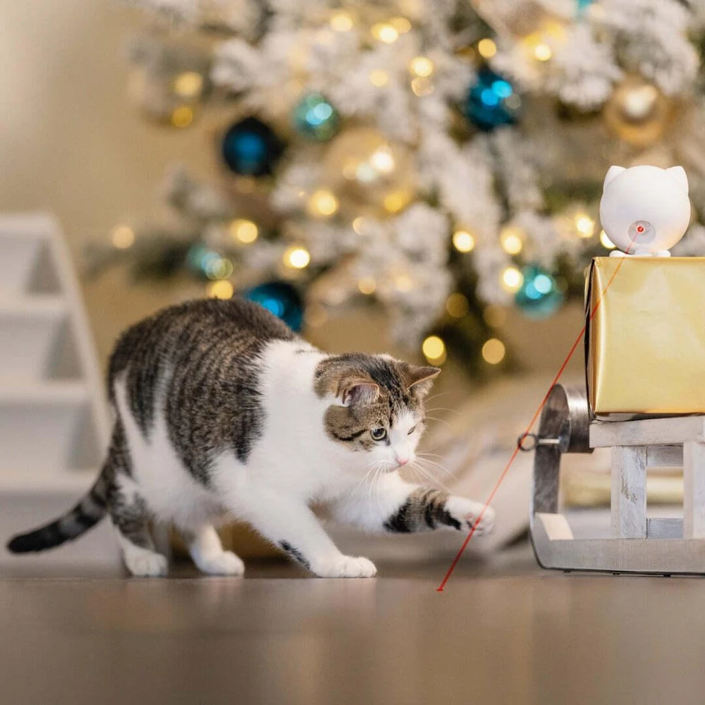 PetSafe Dancing Dot - automatinis lazerinis žaislas katėms