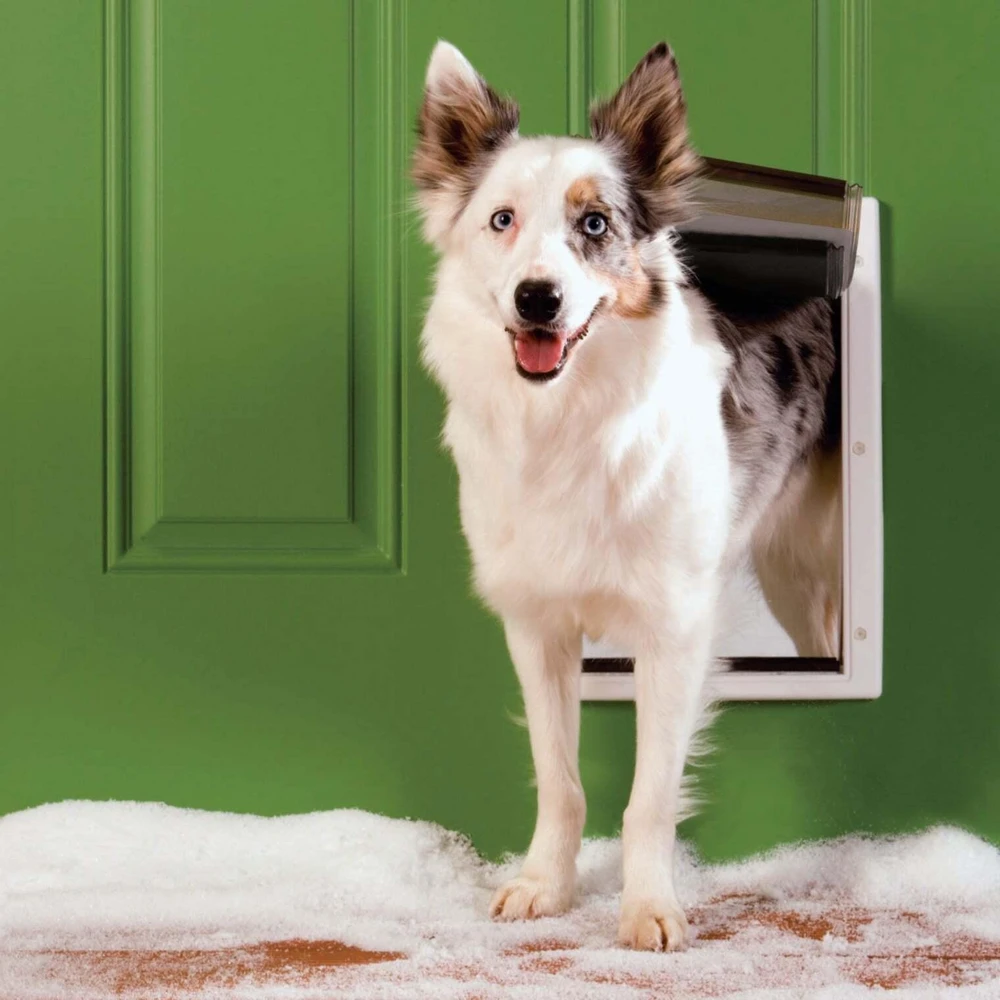PetSafe itinėms oro sąlygoms pritaikyta augintinių durys – didelės, su šilumos barjero konstrukcija, energiją taupančios