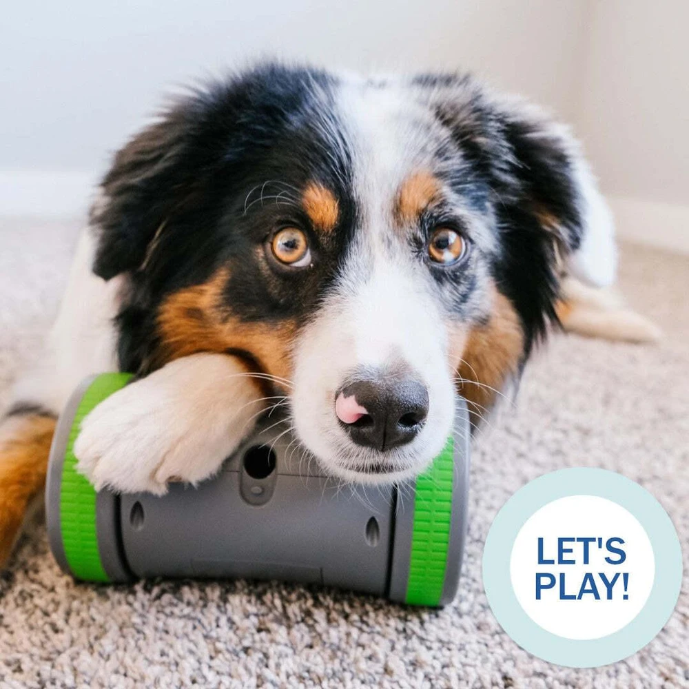 PetSafe Kibble Chase aukštųjų technologijų skanėstų dozatorius- šunų žaislas
