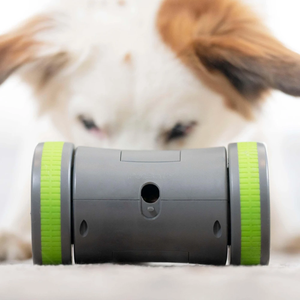PetSafe Kibble Chase aukštųjų technologijų skanėstų dozatorius- šunų žaislas