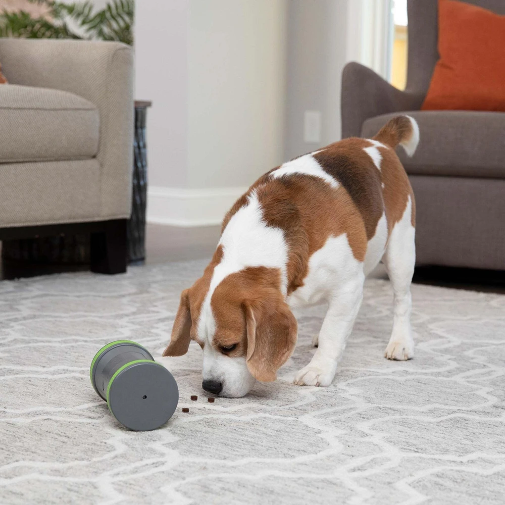 PetSafe Kibble Chase aukštųjų technologijų skanėstų dozatorius- šunų žaislas