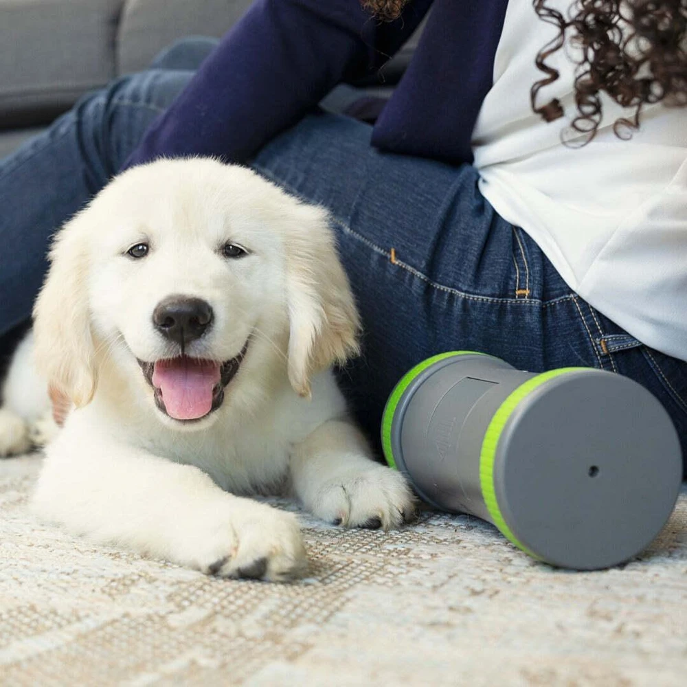 PetSafe Kibble Chase aukštųjų technologijų skanėstų dozatorius- šunų žaislas