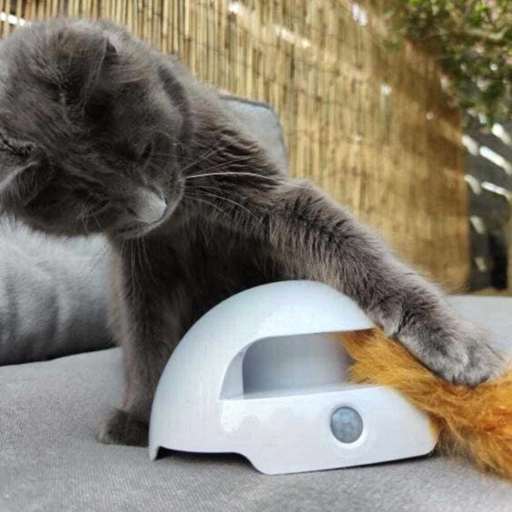 Petsafe FroliCat Fox Den žaislas katėms erzintojas