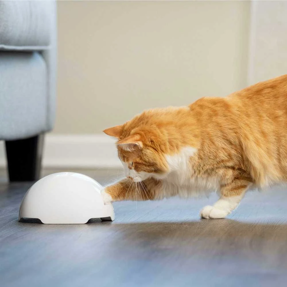 Petsafe FroliCat Fox Den žaislas katėms erzintojas