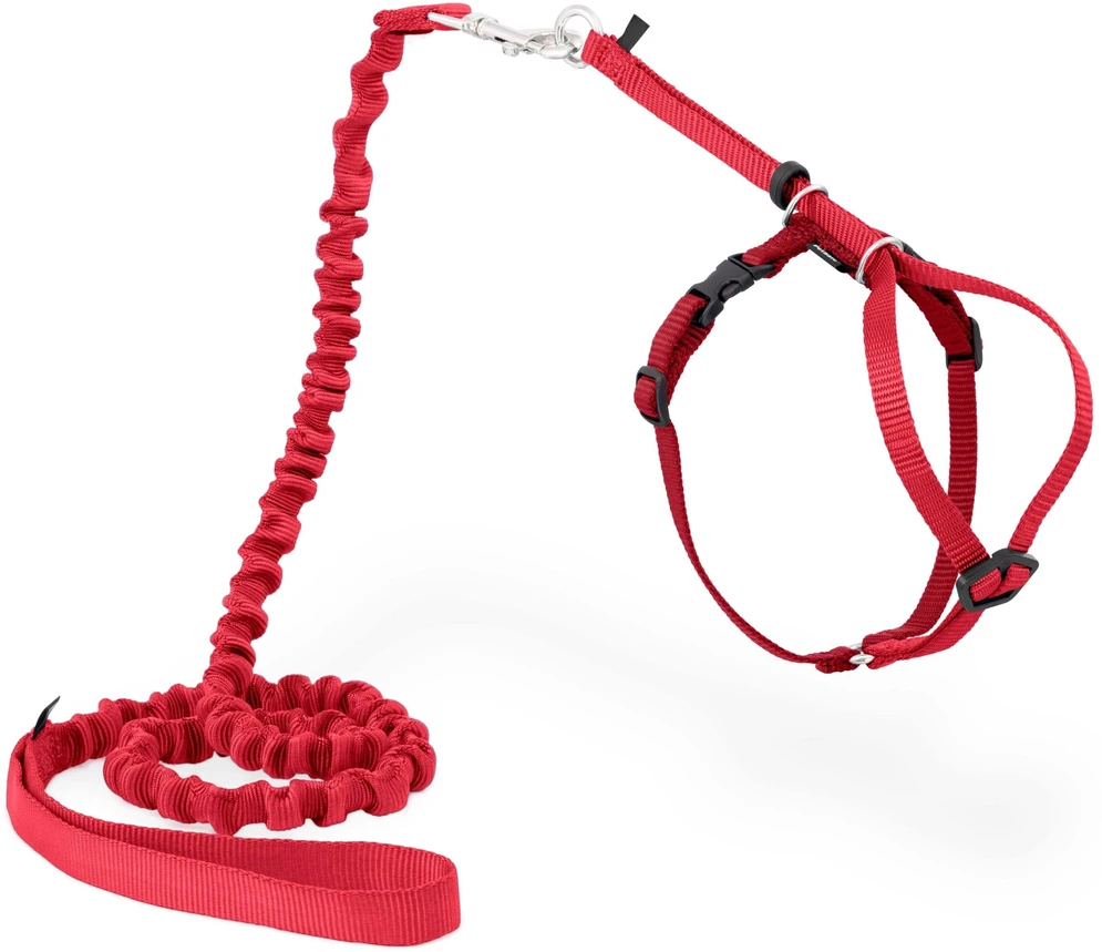 PetSafe Lengvas „Easy Walk“ katės pavadėlis ir pavadėlio rinkinys – raudonas, vidutinis, lanksti amortizacijos konstrukcija