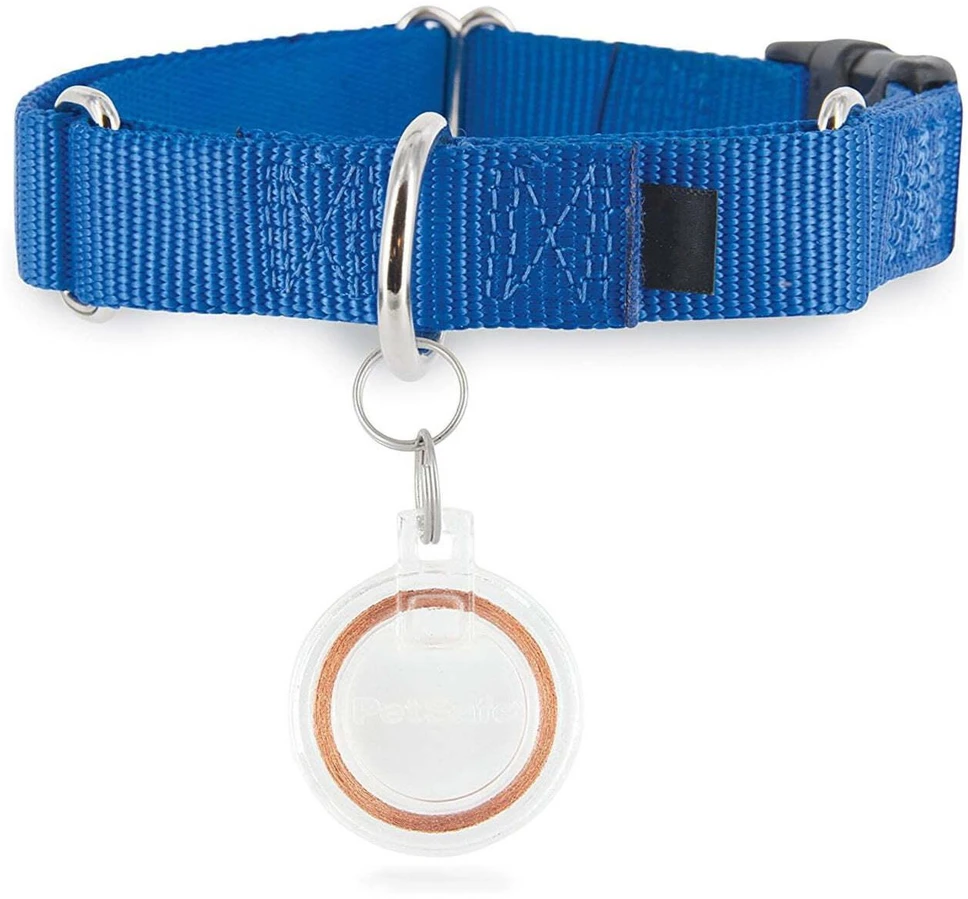 Petsafe Microchip Cat Flap durelėms atrakinti skirtas raktas-pakabukas segamas ant antkaklio