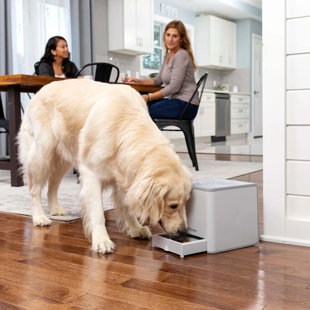 PetSafe Mokomasi & apdovanokite nuotolinio atlygio treniruoklis – Automatinis skanėstų dozatorius, interaktyvus treniruočių įrankis