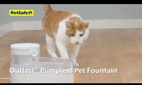 „PetSafe Outlast“ belaidis fontanas augintiniams, 1,7 l – novatoriškas tylus vandens dozatorius, lengvai valomas dizainas