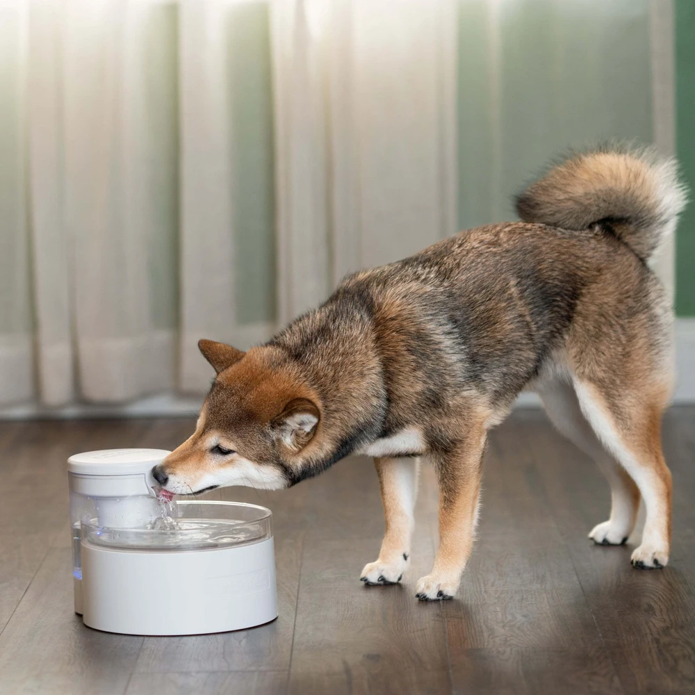 „PetSafe Outlast“ belaidis fontanas augintiniams, 1,7 l – novatoriškas tylus vandens dozatorius, lengvai valomas dizainas