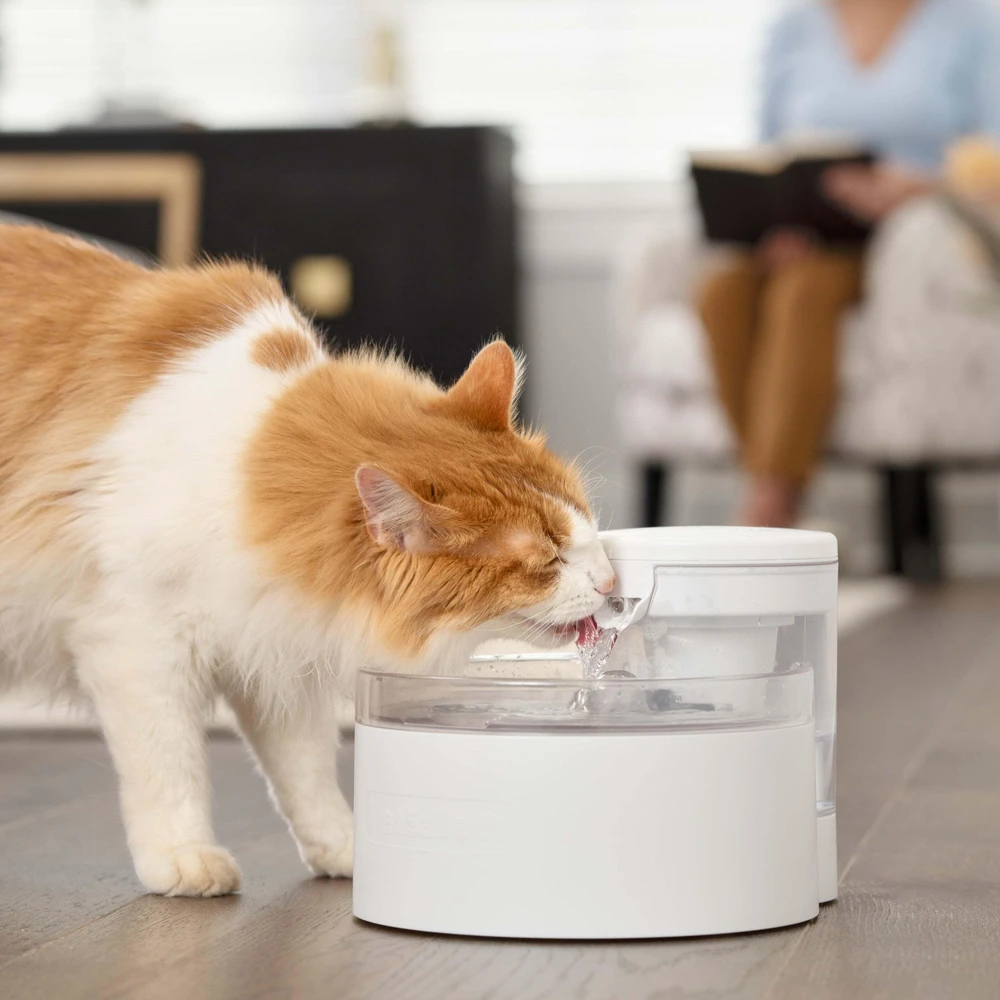 „PetSafe Outlast“ belaidis fontanas augintiniams, 1,7 l – novatoriškas tylus vandens dozatorius, lengvai valomas dizainas