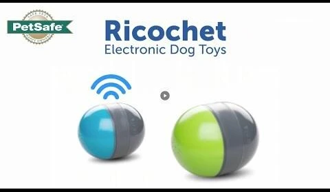 PetSafe Ricochet elektroninis žaislas šunims