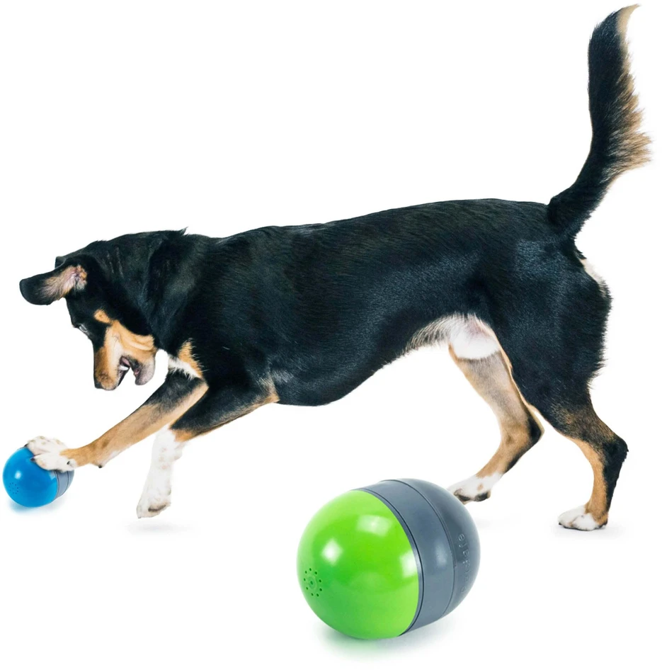 PetSafe Ricochet elektroninis žaislas šunims
