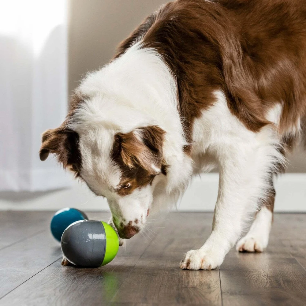 PetSafe Ricochet elektroninis žaislas šunims