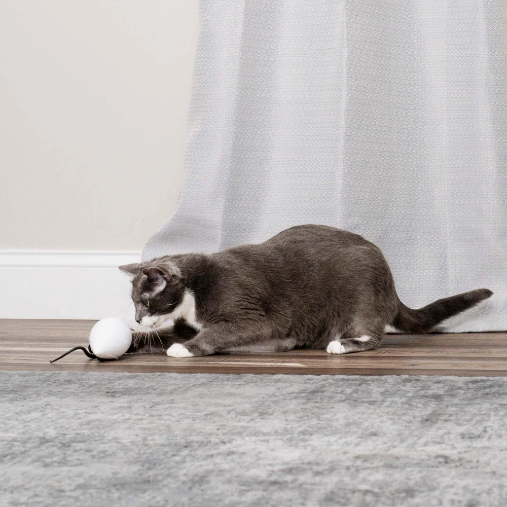Petsafe FroliCat ROLORAT Automatic Cat Teaser automatinis žaislas katėms pelė
