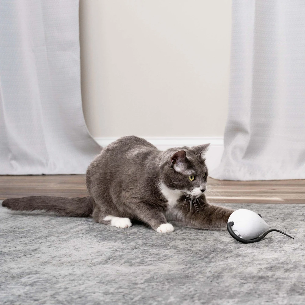 Petsafe FroliCat ROLORAT Automatic Cat Teaser automatinis žaislas katėms pelė