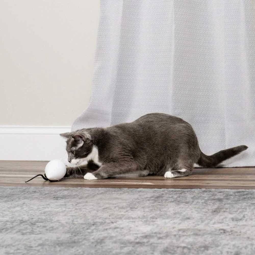 Petsafe FroliCat ROLORAT Automatic Cat Teaser automatinis žaislas katėms pelė