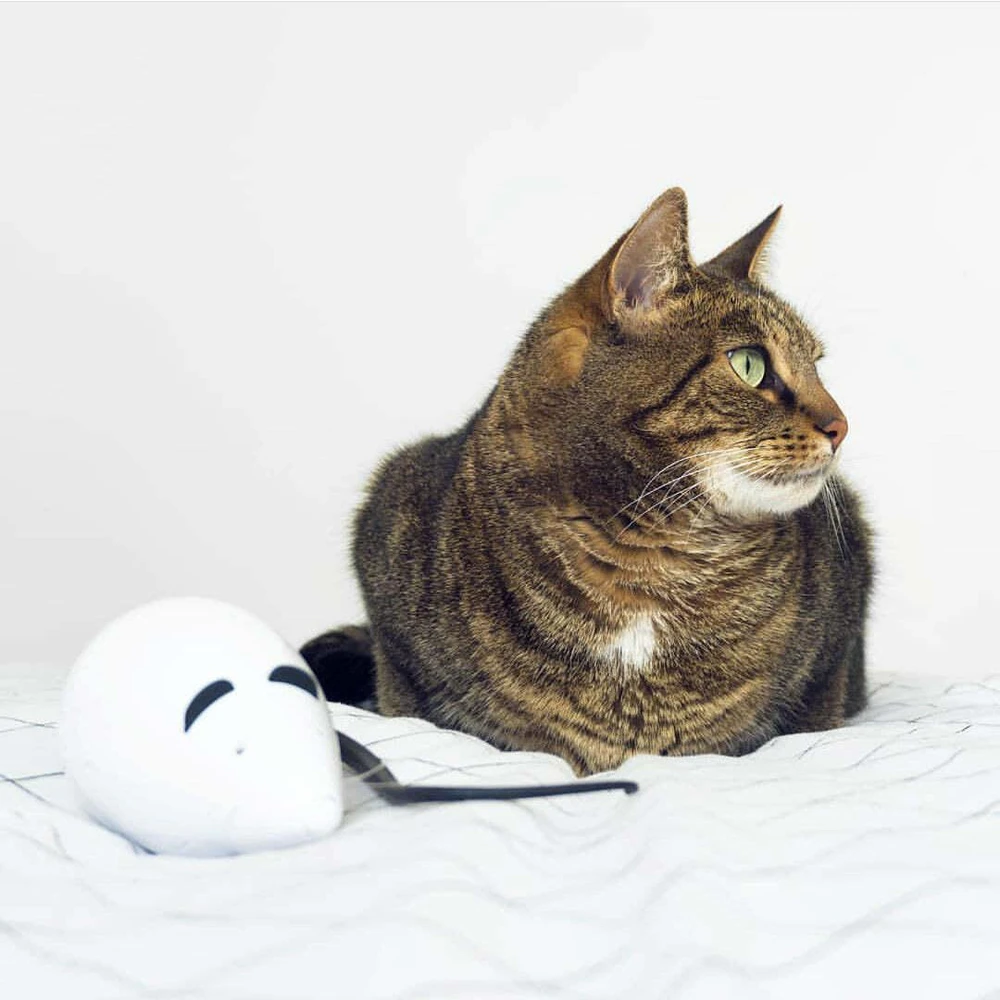 Petsafe FroliCat ROLORAT Automatic Cat Teaser automatinis žaislas katėms pelė