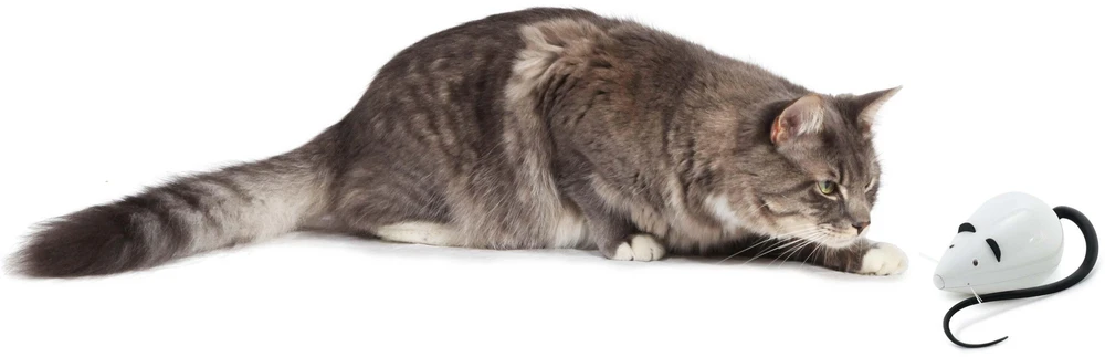 Petsafe FroliCat ROLORAT Automatic Cat Teaser automatinis žaislas katėms pelė