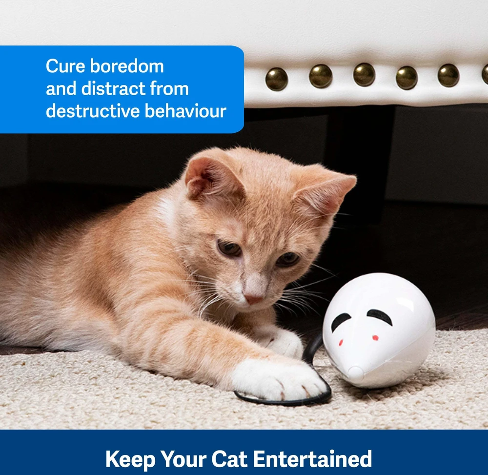 Petsafe FroliCat ROLORAT Automatic Cat Teaser automatinis žaislas katėms pelė