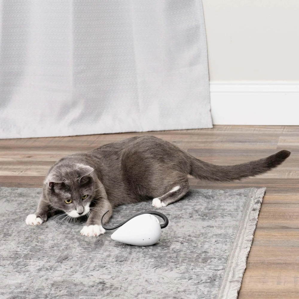 Petsafe FroliCat ROLORAT Automatic Cat Teaser automatinis žaislas katėms pelė