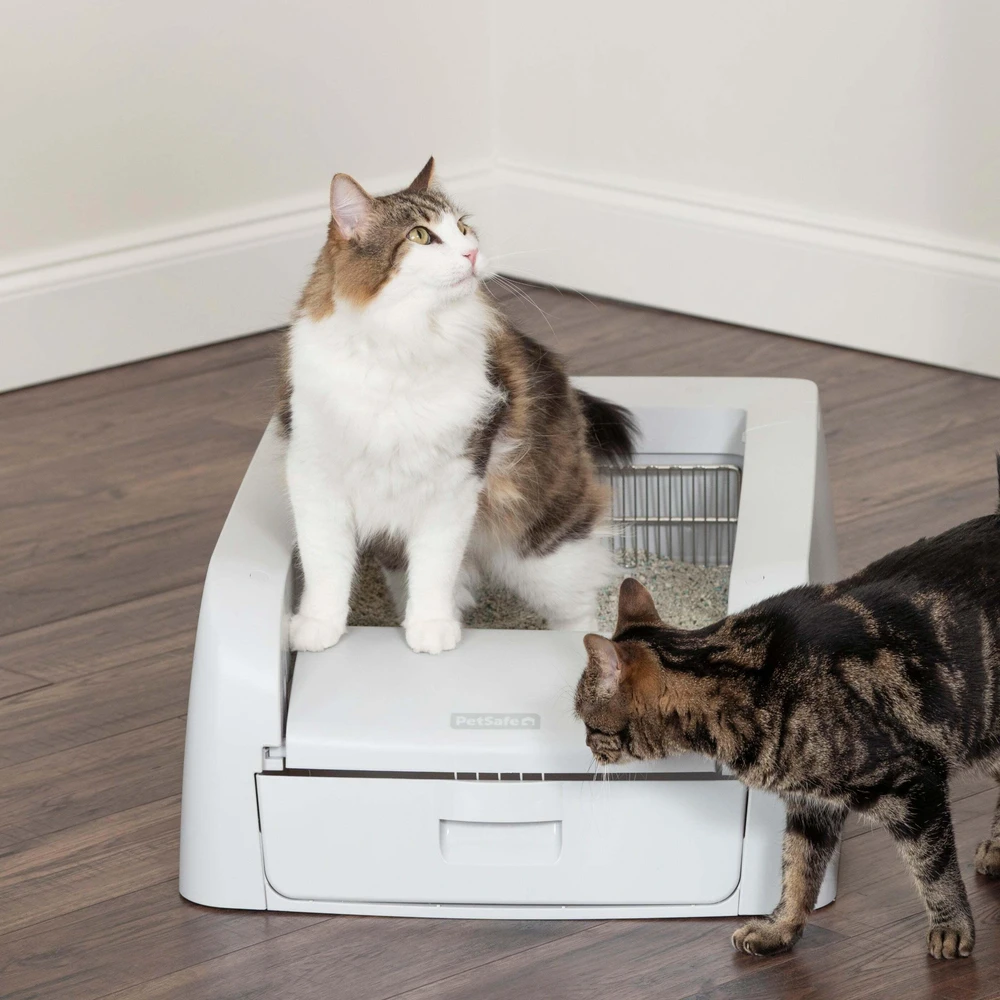 PetSafe „ScoopFree“ savaime išsivalantis kraiko dėžutė – automatinis judesio jutiklis, mažai priežiūros reikalaujantis dizainas