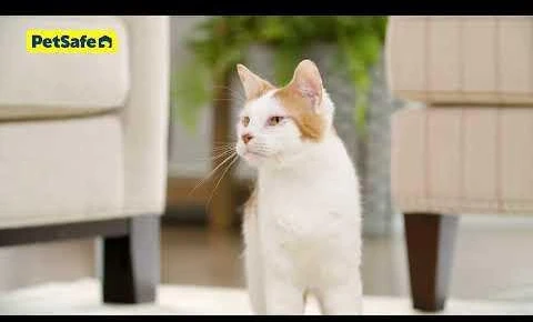 PetSafe „ScoopFree“ savaime išsivalantis kraiko dėžutė – automatinis judesio jutiklis, mažai priežiūros reikalaujantis dizainas