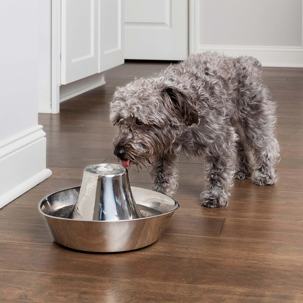 PetSafe Drinkwell 360 1,8 l vandens talpos nerūdijančio plieno girdykla - fontanas skirta katėms ir šunims girdyti