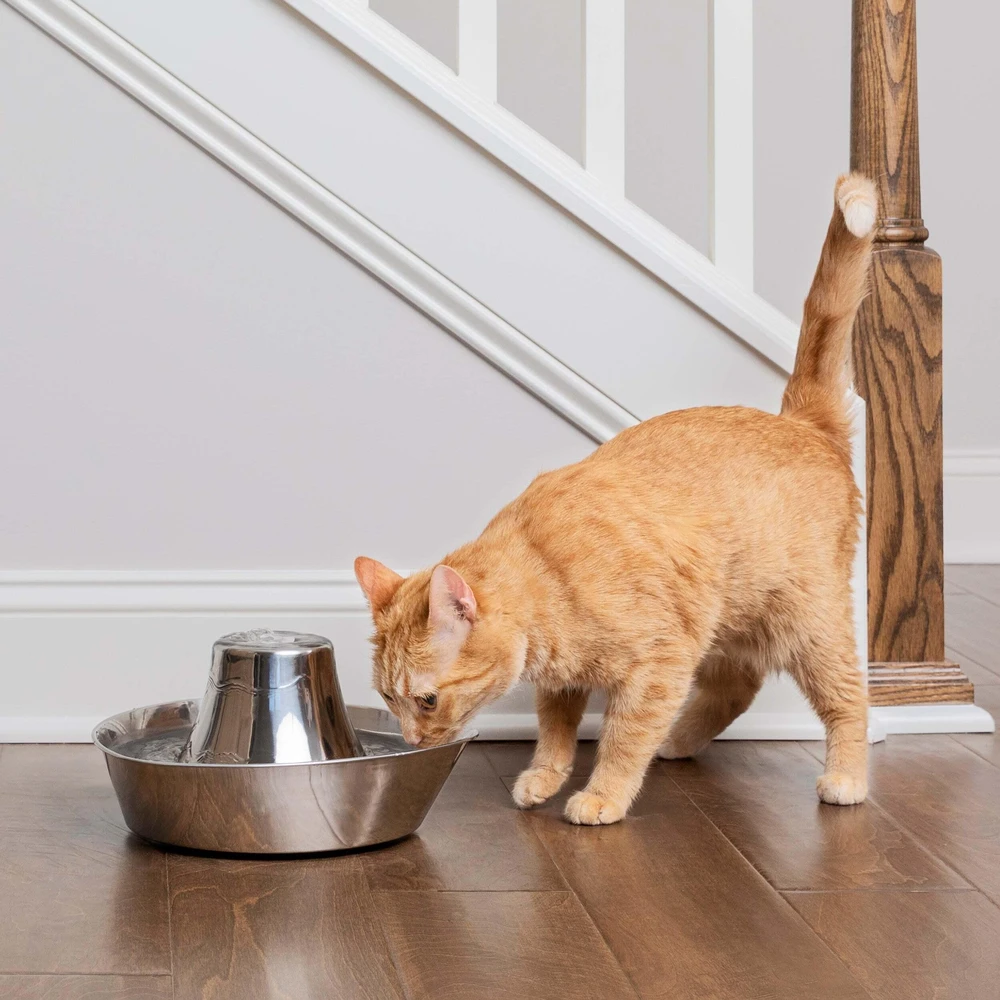PetSafe Drinkwell 360 1,8 l vandens talpos nerūdijančio plieno girdykla - fontanas skirta katėms ir šunims girdyti