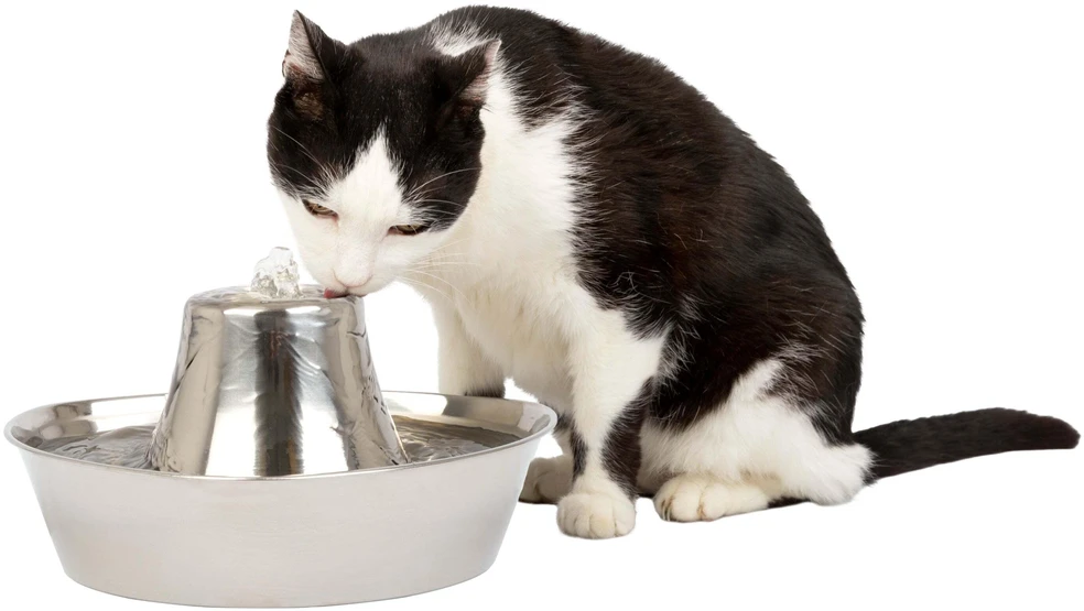 PetSafe Drinkwell 360 1,8 l vandens talpos nerūdijančio plieno girdykla - fontanas skirta katėms ir šunims girdyti