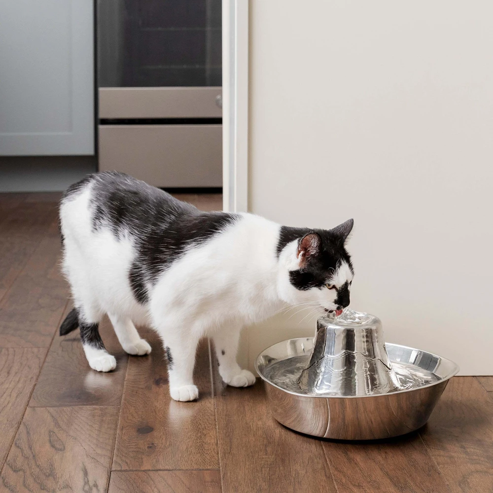 PetSafe Drinkwell 360 1,8 l vandens talpos nerūdijančio plieno girdykla - fontanas skirta katėms ir šunims girdyti