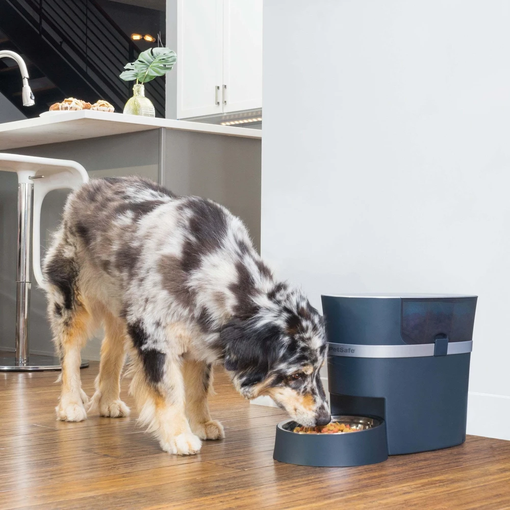 PetSafe Smart Feed Automatic Pet Feeder išmani automatinė šunų ir kačių šėrykla
